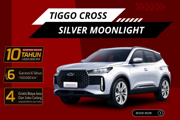 Silver Moonlight