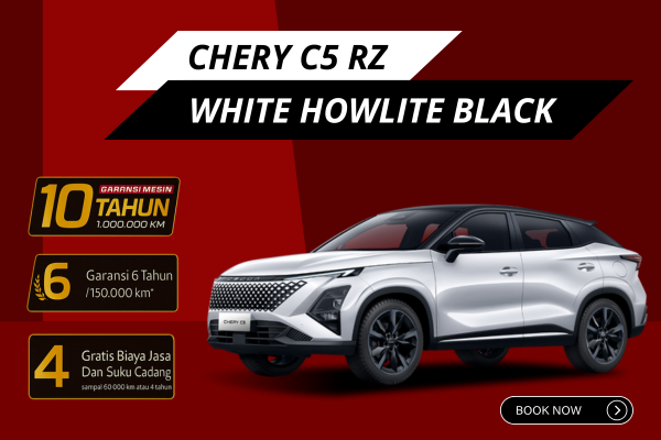 White Howlite Black