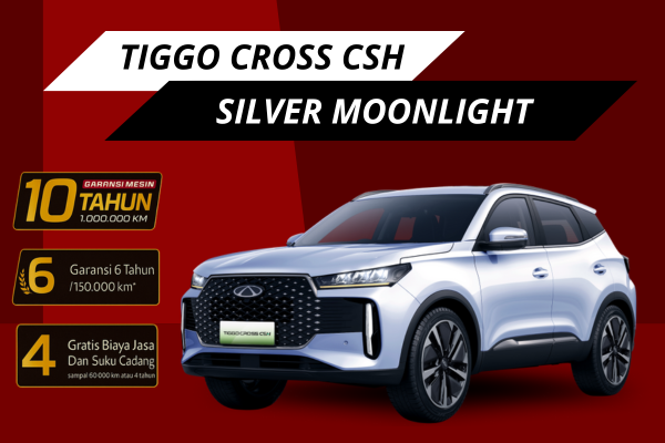 Silver Moonlight